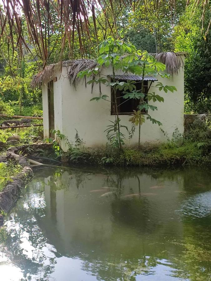 Hostal Amaní Samana Exterior foto